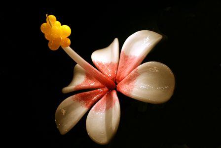 Blown Glass Hibiscus Flower by Samuel Decker