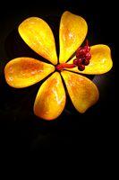 Blown Glass Hibiscus Flower by Samuel Decker